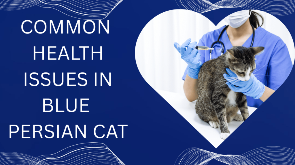 HEALTH ISSUES IN BLUE PERSIAN CAT