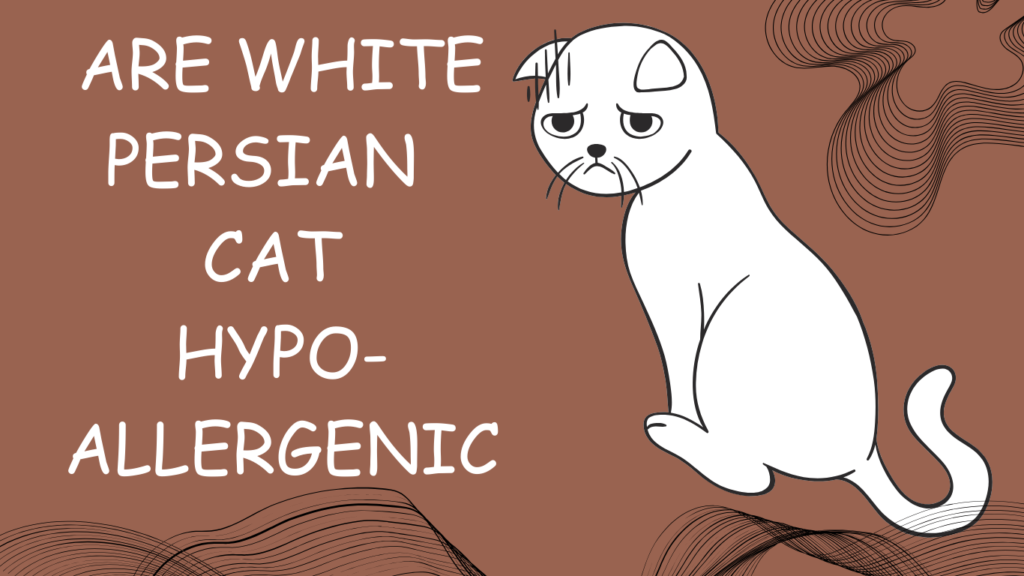 Are white Persian Cat Hpoallergenic