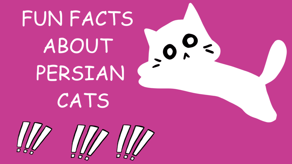 Fun Fact About Persian cat
