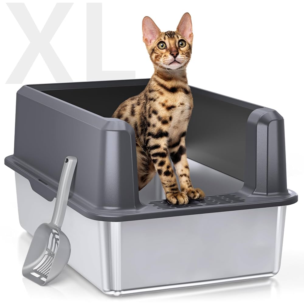 Best Automatic litter box for multiple cats.