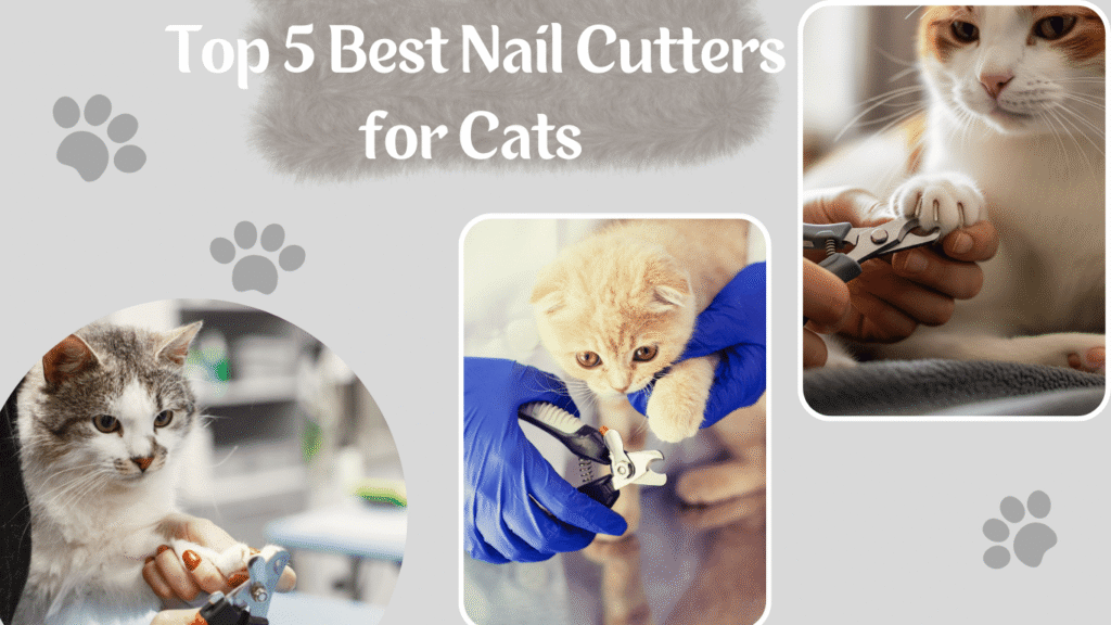 Best Nail Cutters for Cats