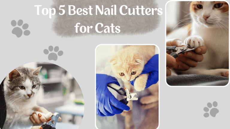 Best Nail Cutters for Cats
