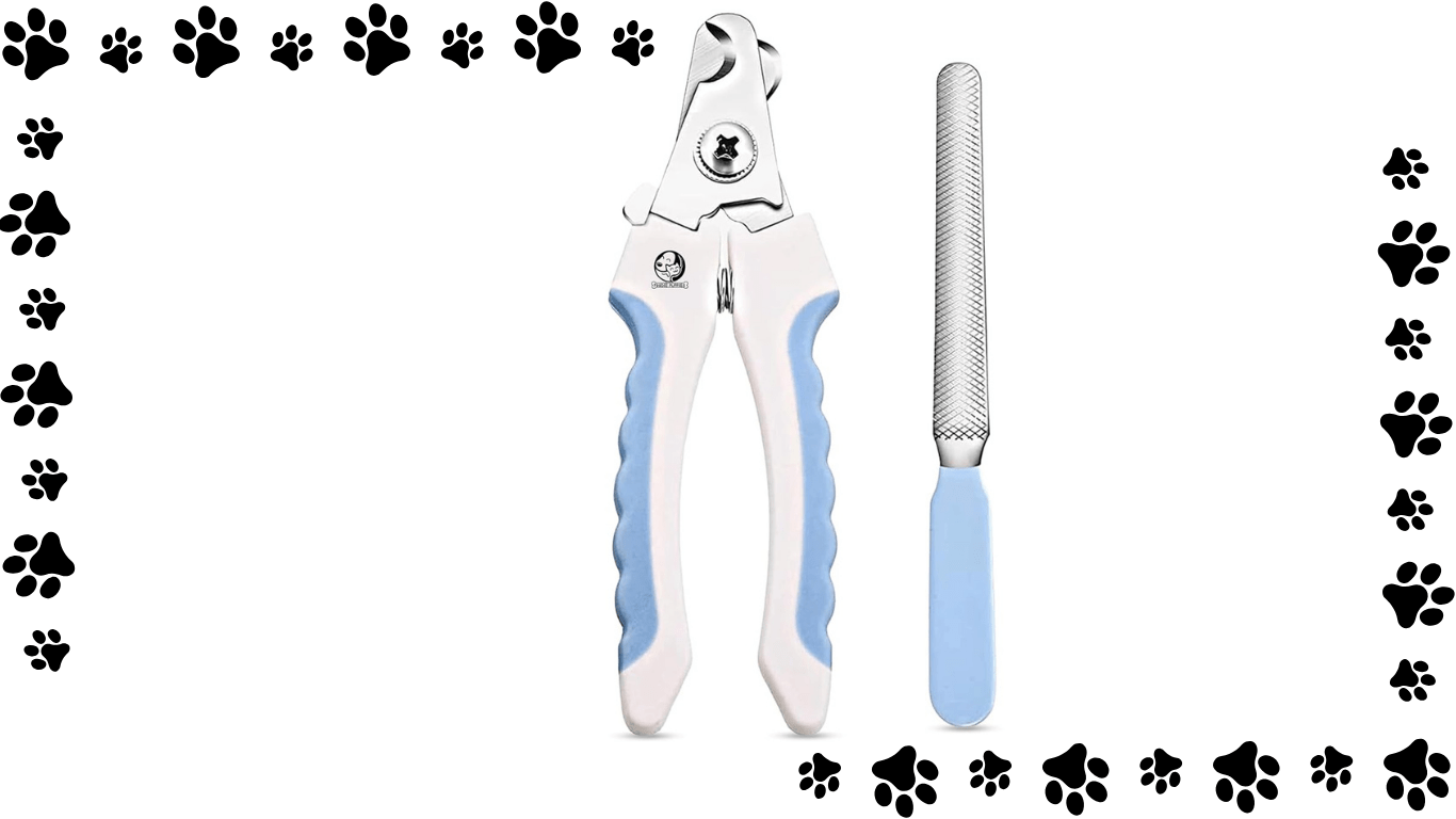 Best Nail Cutters for Cats