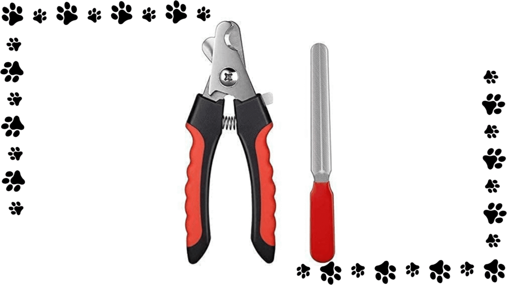 Best Nail Cutters for Cats