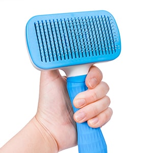 best brush for Persian cat
